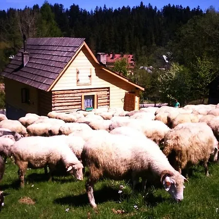 Domek Przy Olczyskiej * Zakopane
